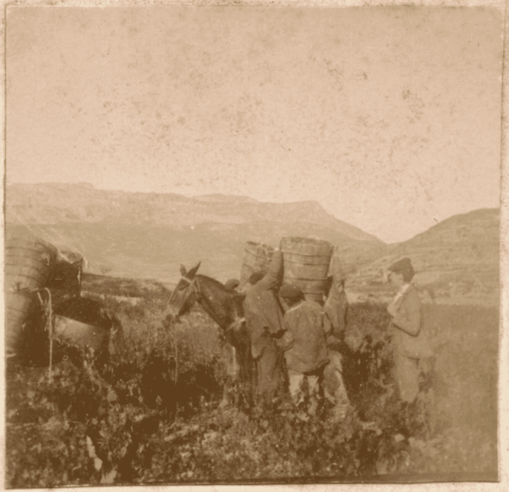 Arabako Herrial, Amamengandik bilobengana | Bastida. Oñate Reynares. Photo-Araba