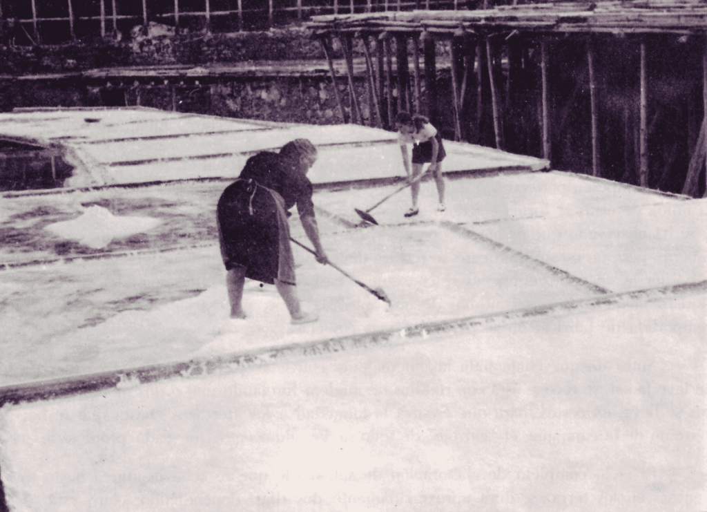 Pueblos de Álava, de abuelas a nietas y nietos. Añana, Foto cedida por la Fundación Valle Salado