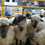 Foto cedida por la Oficina de Turismo de Amurrio