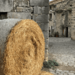 Errestes-Tudelara mandazain antzera igaitea