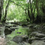 Barranco de Igoroin. Foto IREKIA. Autor Pedro Odriozola 