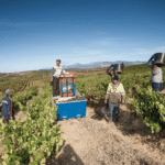 Foto cedida por el Ayuntamiento de Oyón. Cristina León Rubio