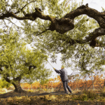 Foto cecida por el Ayuntamiento de Oyón. Miguel Cavero Carazo.
