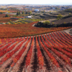 Foto Ayto. de Oyón. Alberto Apellaniz Gallego