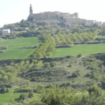 Labraza. Foto cedida por el Ayto. de Oyón