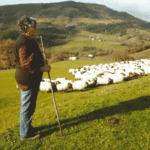 Isabel Ugarte Urruela, con ovejas en Menagarai.