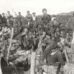 Jean Pineau, ‘el mago del vino’ 