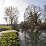 Vitoria-Gasteizko Udalak lagatako argazkia. Josu Izarra argazkilaria.
