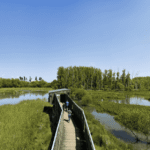 Vitoria-Gasteizko Udalak lagatako argazkia. Erredehierro.